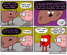 Image result for Awkward Yeti Liver