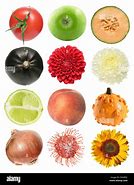 Image result for Things That Are Round and Center