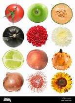 Image result for Round Shaped Objects