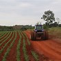 Image result for Brazilian Agriculture