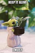 Image result for Plant Pot Meme