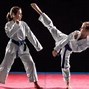 Image result for Judo Karate