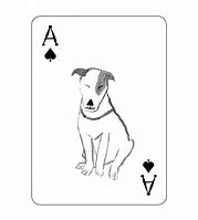 Image result for Up Dog Poker