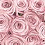 Image result for Aesthetic Flower Wallpaper Rose
