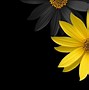 Image result for Black and Yellow Phone Wallpapers