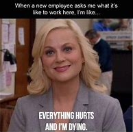 Image result for New Hire MEME Funny