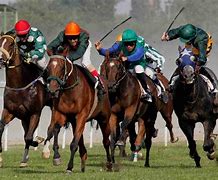 Image result for Grand National Horse Racing