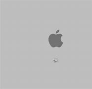 Image result for Apple 14 Facts