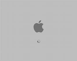 Image result for Apple iPhone 5S Verizon