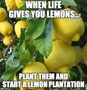 Image result for When Life Gives You Lemons Meme