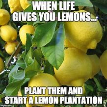 Image result for Lemon Meme