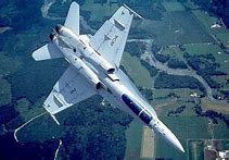 Image result for CF-18 Hornet