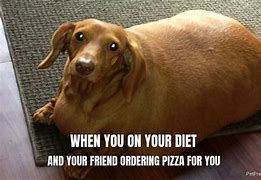 Image result for Fat Dog Pizza Meme