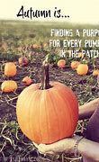 Image result for Autumn Pumpkin Quotes
