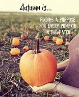 Image result for Cute Pumpkin Quotes
