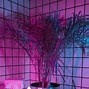 Image result for Cool Banners Hot Pink Neon