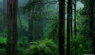 Image result for 3840X2160 Wallpaper Tropical