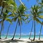Image result for Martinique