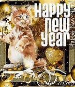 Image result for Image Happy New Year with Ginger Cat