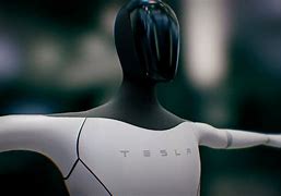 Image result for Tesla with Robot Driver