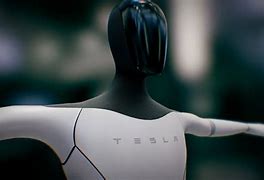 Image result for Tesla Robots