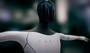 Image result for Tesla Robots