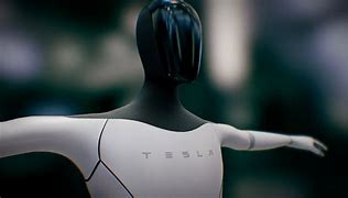 Image result for Tesla Security Robot