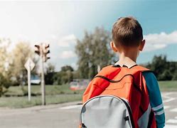 Image result for Toddler Boy Backpack