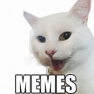 Image result for Friday Kitty Memes