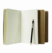 Image result for moleskin cahiers notebooks