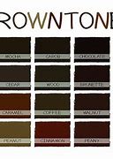 Image result for Very Dark Brown Color
