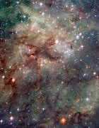Image result for Cosmic Tarantula
