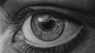 Image result for How to Draw Hyper Realistic Drawings