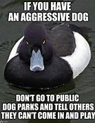 Image result for Dog Park Meme