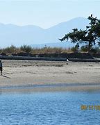 Image result for Comox Beaches