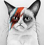 Image result for Grumpy Cat Artwork How To