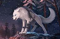 Image result for Anime Male Wolf