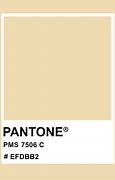 Image result for Pantone 7506