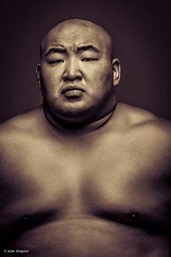 Image result for Short Sumo Wrestler