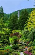 Image result for Garden iPhone Wallpaper