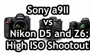 Image result for Shooting High ISO On Sony A9ii