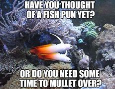 Image result for Aquarium Obsession Meme