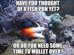 Image result for Aquariumn Meme