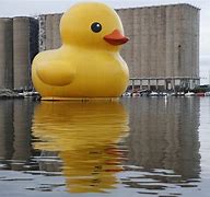 Image result for Rubber Duck Floating