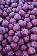Image result for Purple Apple Fruit