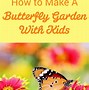Image result for Butterfly Garden
