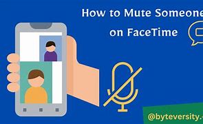 Image result for FaceTime Camera Phone Mute