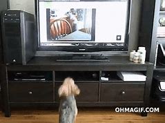 Image result for Big TV On Small Stand