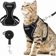 Image result for Easy On Cat Harness