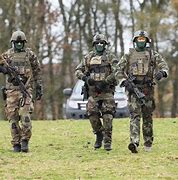 Image result for Irish Army Rangers